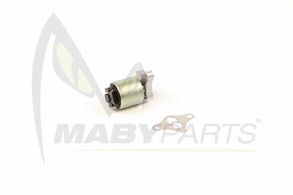EGR Valve (OEV010027)