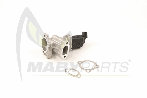 EGR Valve (OEV010036)