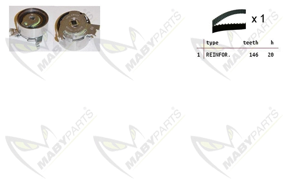 Timing Belt Kit (OBK010217)