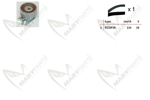Timing Belt Kit (OBK010187)