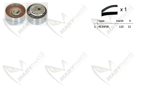 Timing Belt Kit (OBK010082)