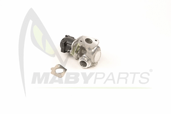 EGR Valve (OEV010024)