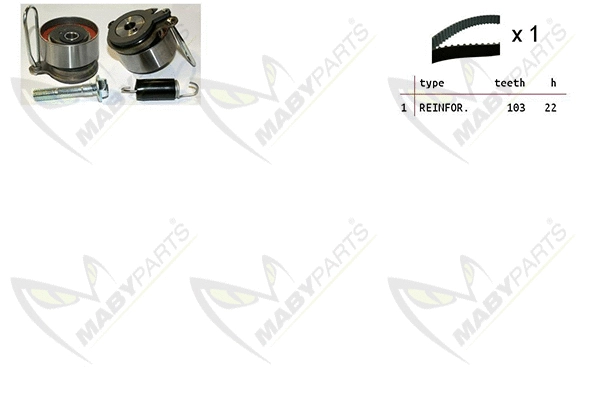 Timing Belt Kit (OBK010455)