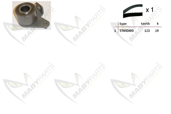 Timing Belt Kit (OBK010284)
