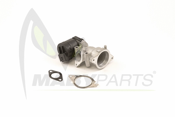 EGR Valve (OEV010038)