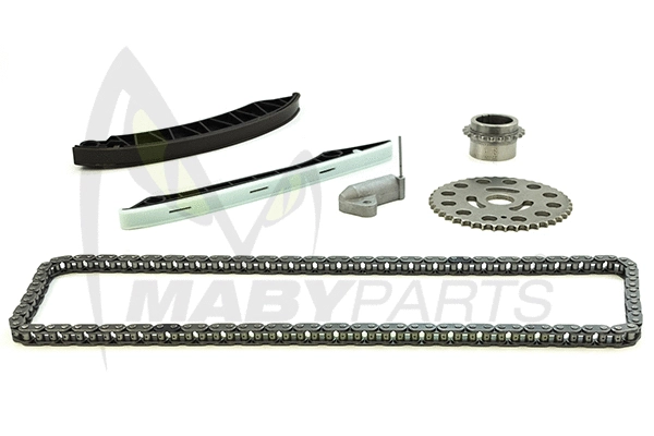 Timing Chain Kit (OTK030117)