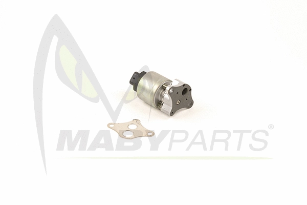 EGR Valve (OEV010028)