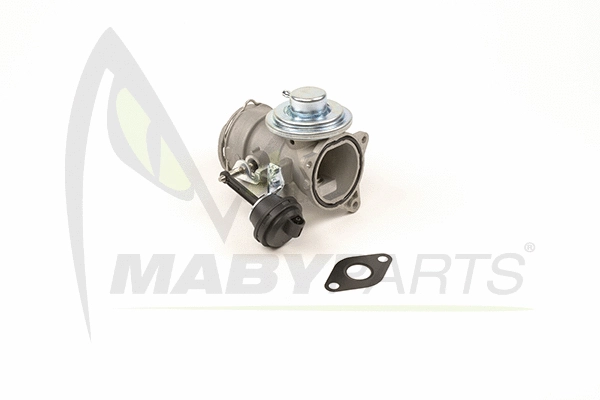 EGR Valve (OEV010003)