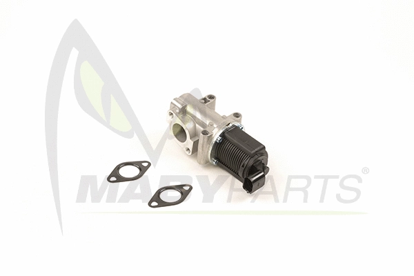EGR Valve (OEV010025)