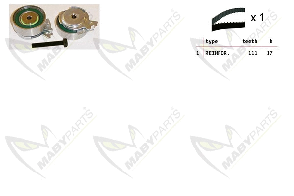 Timing Belt Kit (OBK010121)