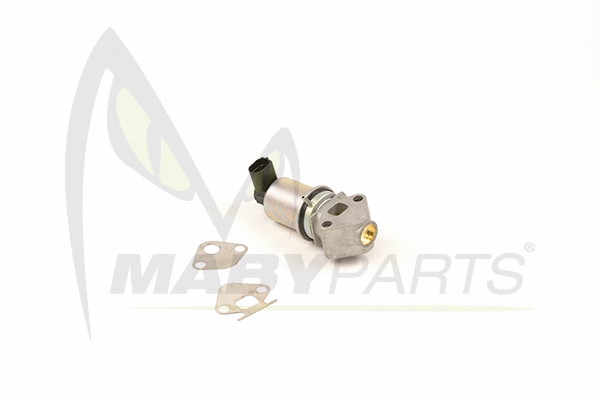 EGR Valve (OEV010034)