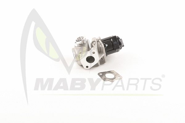 EGR Valve (OEV010063)