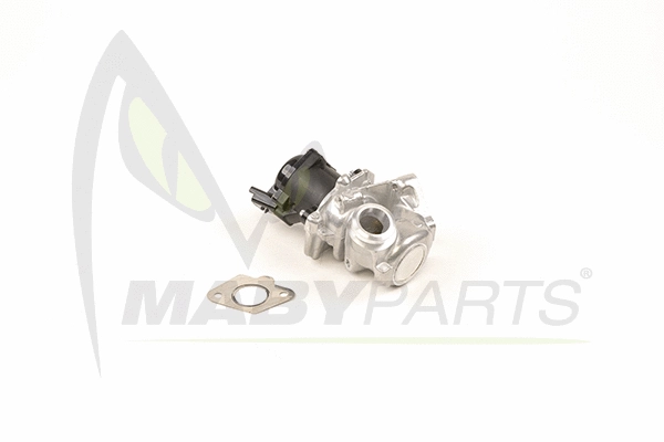 EGR Valve (OEV010035)