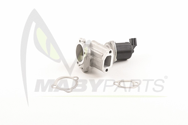 EGR Valve (OEV010051)