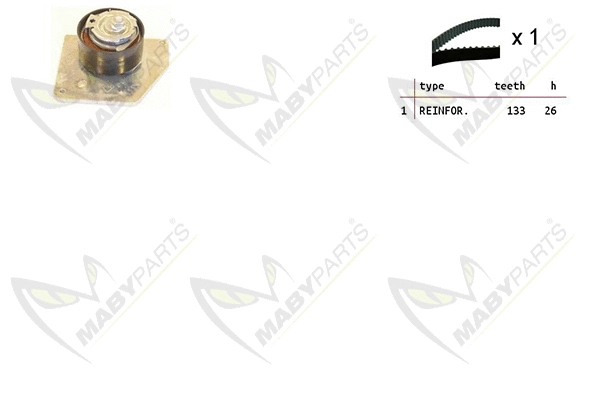 Timing Belt Kit (OBK010144)