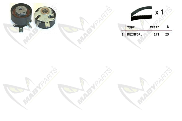 Timing Belt Kit (OBK010154)