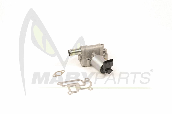 EGR Valve (OEV010017)