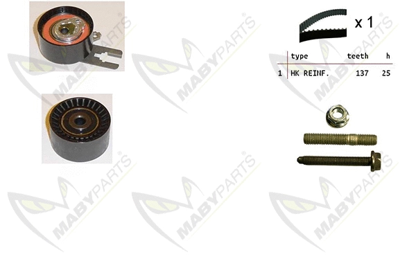 Timing Belt Kit (OBK010038)