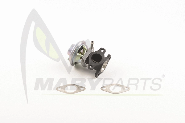 EGR Valve (OEV010070)