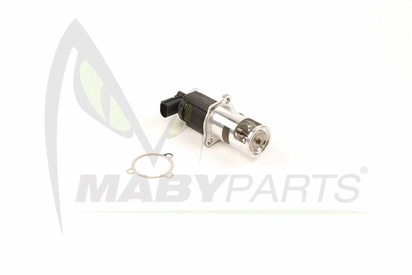 EGR Valve (OEV010008)