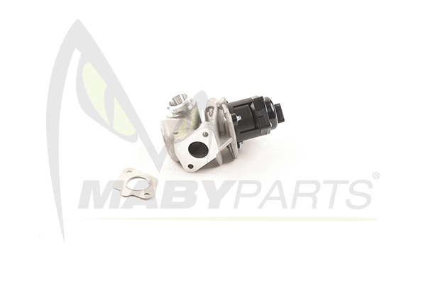 EGR Valve (OEV010064)