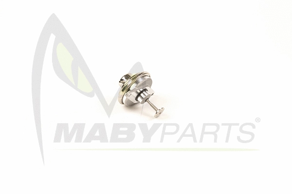 EGR Valve (OEV010022)
