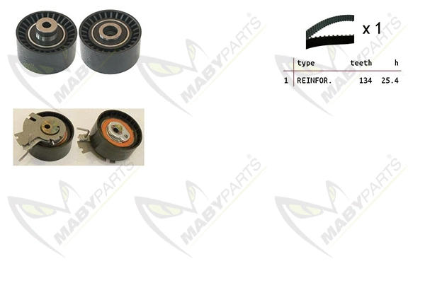 Timing Belt Kit (OBK010116)