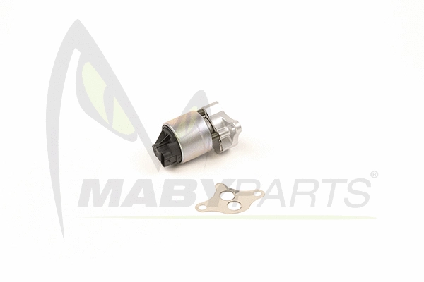 EGR Valve (OEV010026)