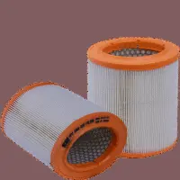 Air Filter (HPU 4346)