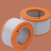 Air Filter (HPU 4303)