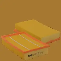 Air Filter (HP 2161)