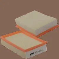 Air Filter (HP 2070)