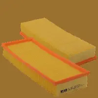 Air Filter (HP 2123)