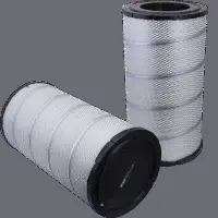Air Filter (HP 2544)