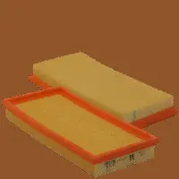 Air Filter (HP 2170)