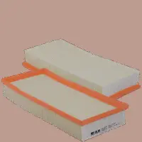 Air Filter (HP 2262)