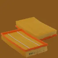 Air Filter (HP 2138)