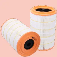 Air Filter (HP 2665)