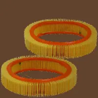 Air Filter (HPU 4389)