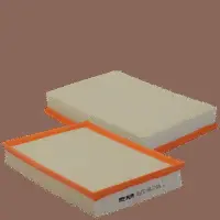 Air Filter (HP 2233)