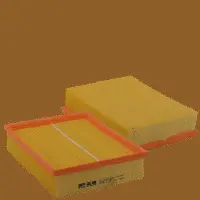 Air Filter (HP 2134)