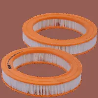 Air Filter (HPU 4313)