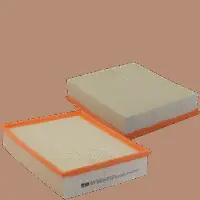 Air Filter (HP 2029)
