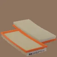 Air Filter (HP 2116)