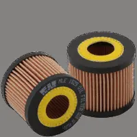 Oil Filter (MLE 1529)