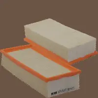 Air Filter (HP 2065)