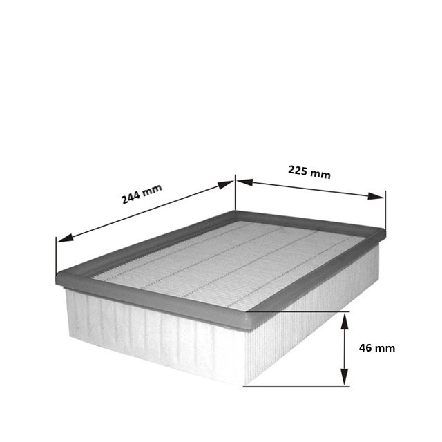 Air Filter (HP 2436)