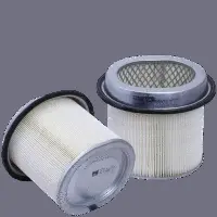 Air Filter (HP 4556)