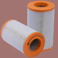 Air Filter (HPU 4343)