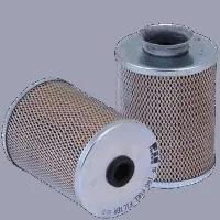 Fuel Filter (MF 160)